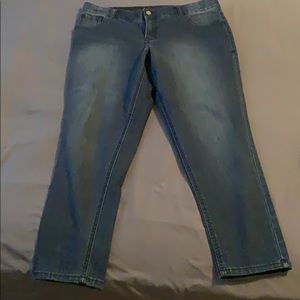 Lane Bryant skinny jeans